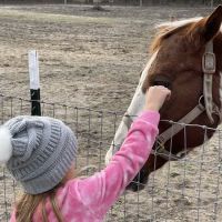 Hidden Forest RV Club ico