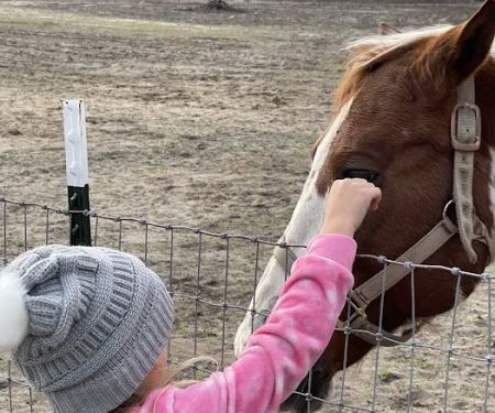 Hidden Forest RV Club