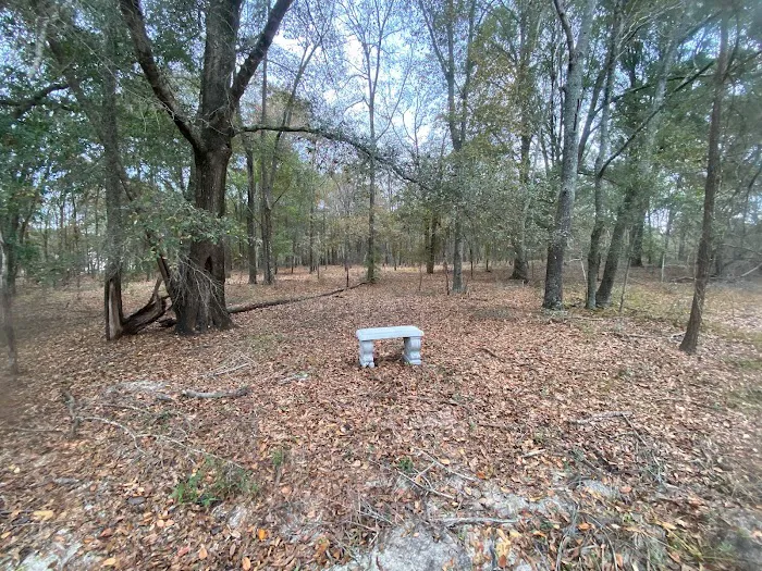 Hidden Forest RV Club Picture 5