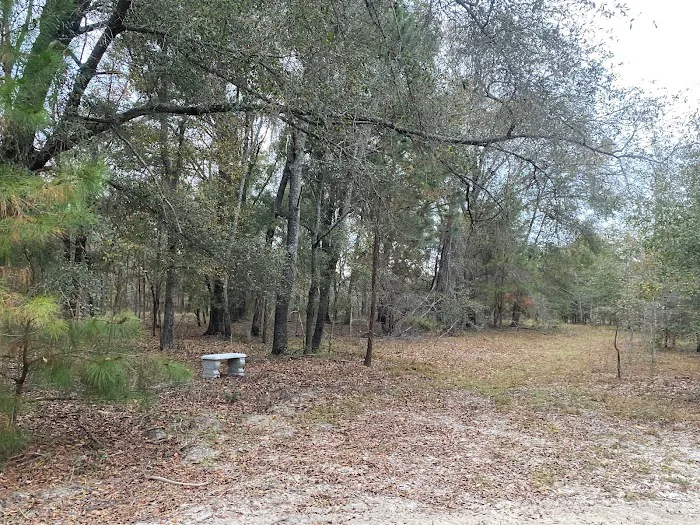 Hidden Forest RV Club Picture 2