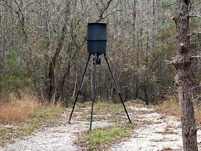 Hidden Forest RV Club Picture 7