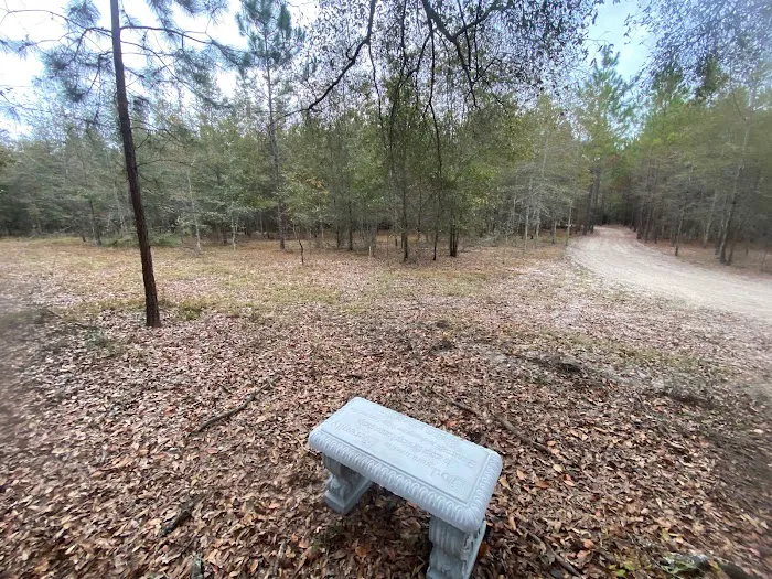 Hidden Forest RV Club Picture 8