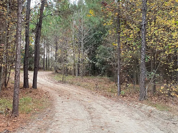 Hidden Forest RV Club Picture 9