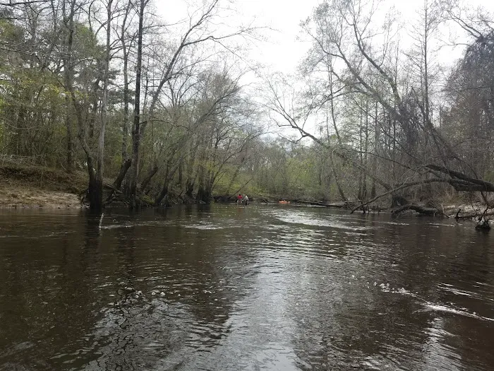 Ohoopee River Campground Picture 4