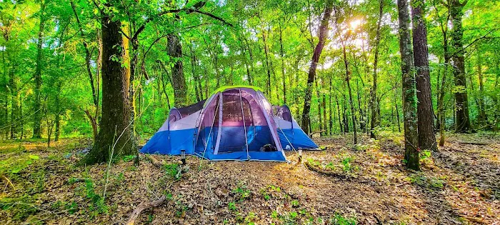 The Pecan Orchard Campgrounds Picture 2