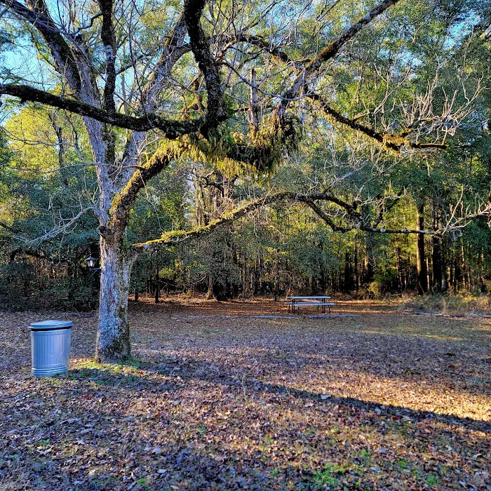 The Pecan Orchard Campgrounds Picture 4