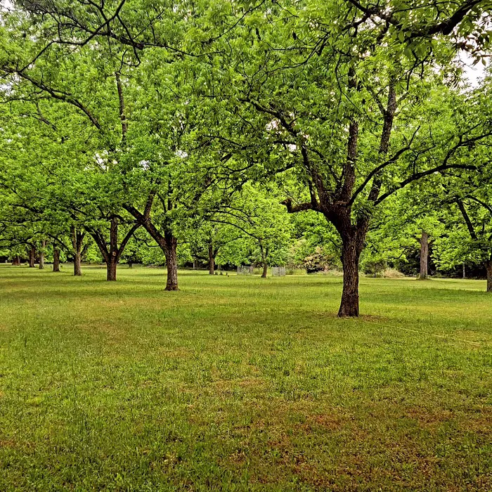 The Pecan Orchard Campgrounds Picture 10