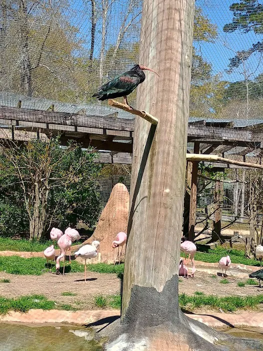 Chehaw Campground Picture 4