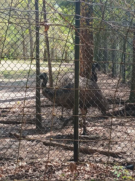 Chehaw Campground Picture 5