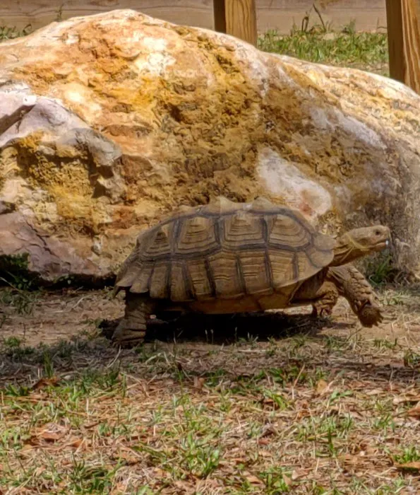 Chehaw Campground Picture 6