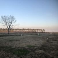 Terrapin Creek lot ico