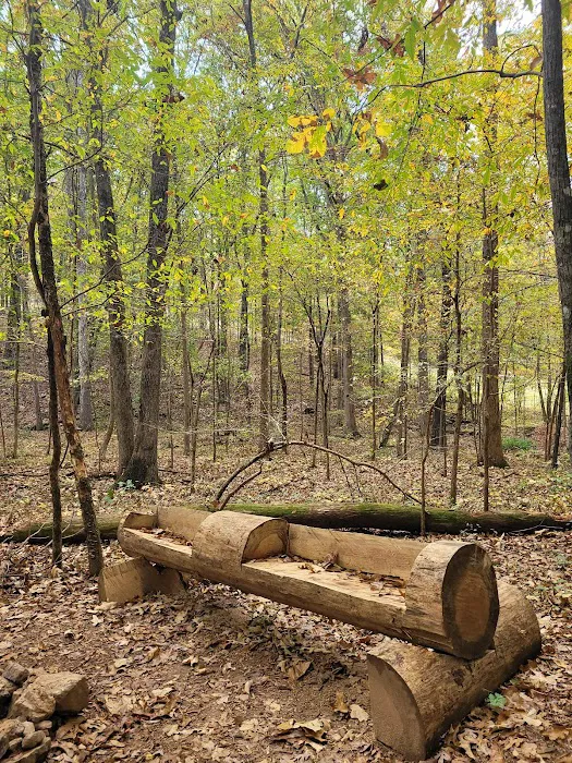 Honea's Holler Picture 5