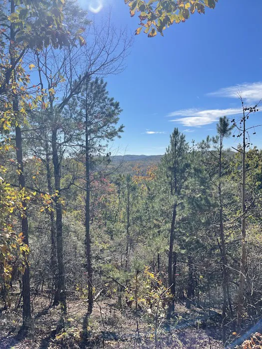 Cheaha Hideaway LLC Picture 10