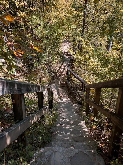 Timberline Glamping Cheaha Picture 5