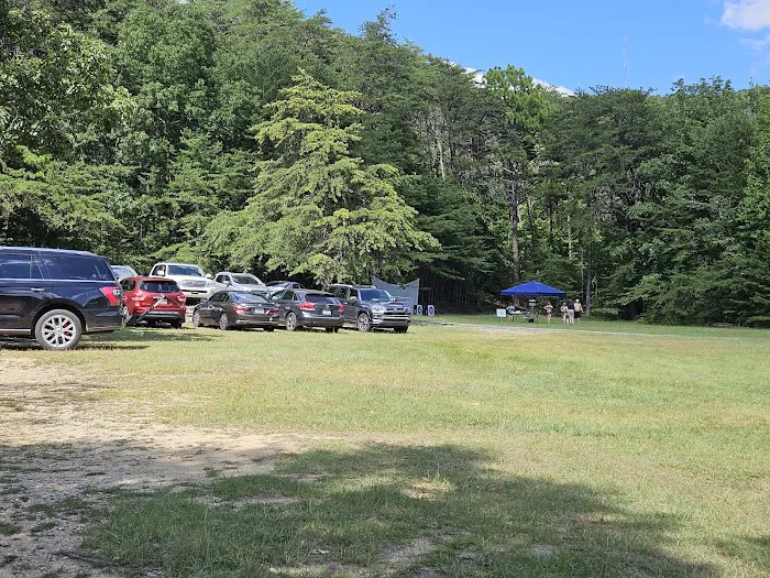 Lower Group Campground Picture 2