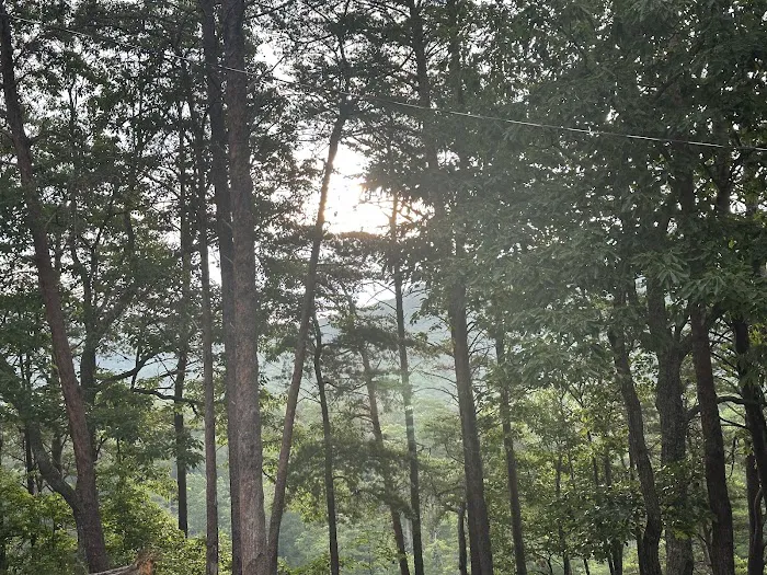 Lower Improved Campground Picture 4
