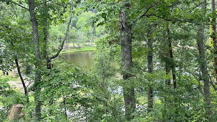Lower Improved Campground Picture 3