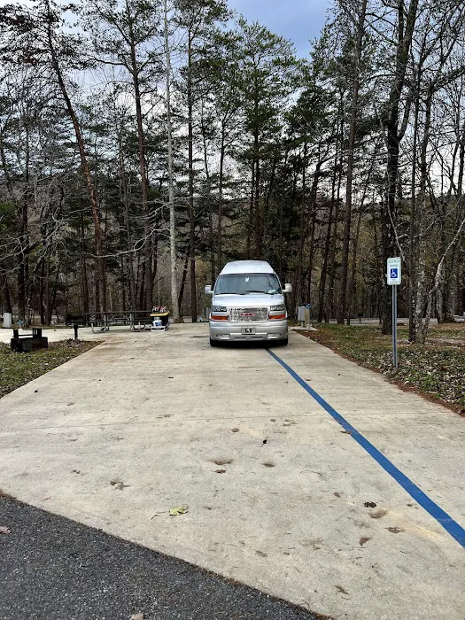 Lower Improved Campground Picture 6