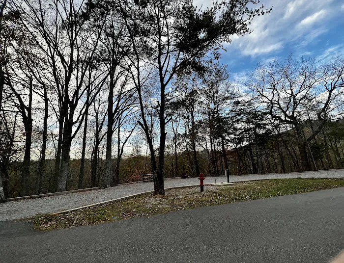 Lower Improved Campground Picture 7