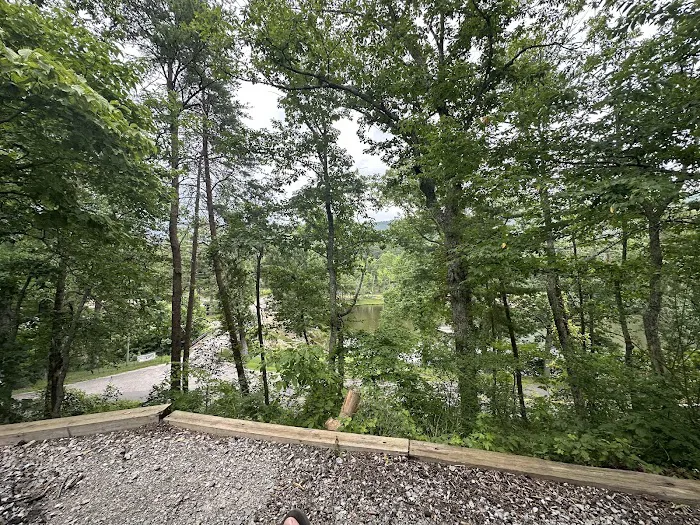 Lower Improved Campground Picture 5