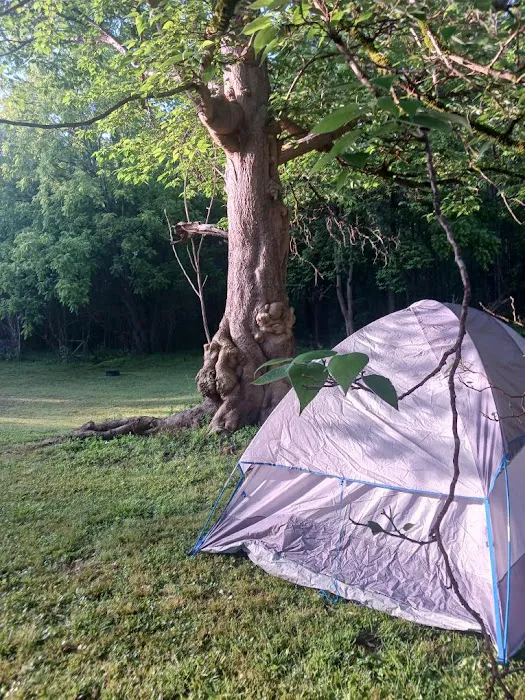 Flat Rock Store and Camping Picture 8