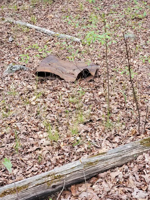 Turnipseed Campground Picture 10