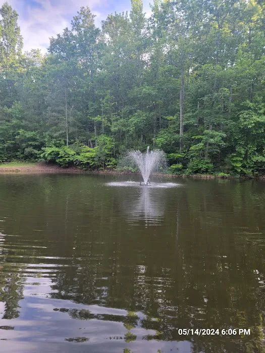 Hidden Branch Campground Picture 5