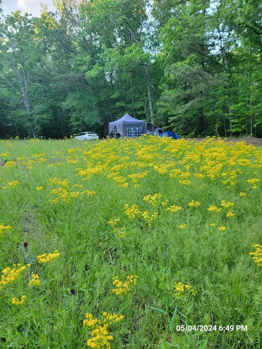 Hidden Branch Campground Picture 1
