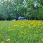 Hidden Branch Campground