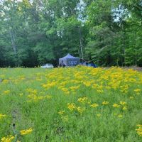 Hidden Branch Campground ico