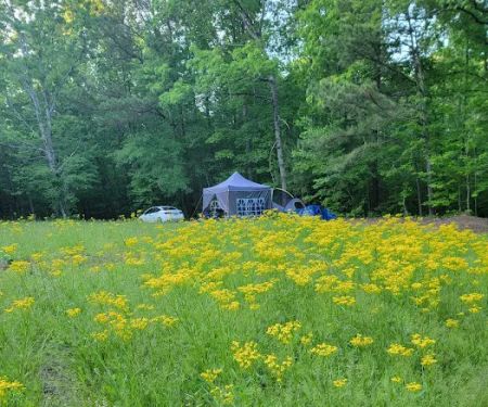 Hidden Branch Campground