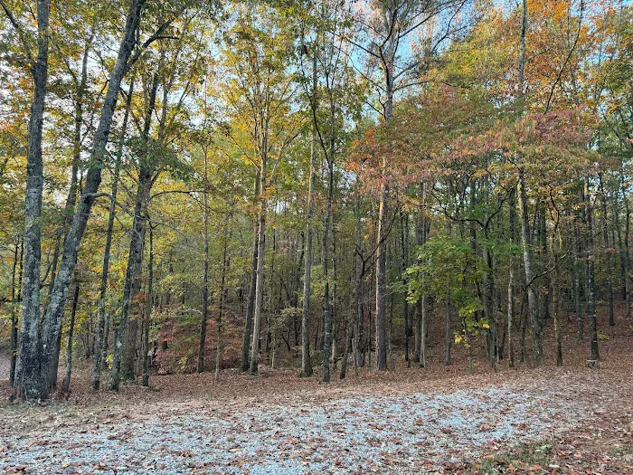 Hidden Branch Campground Picture 8
