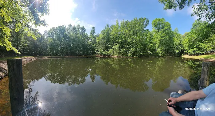Hidden Branch Campground Picture 7