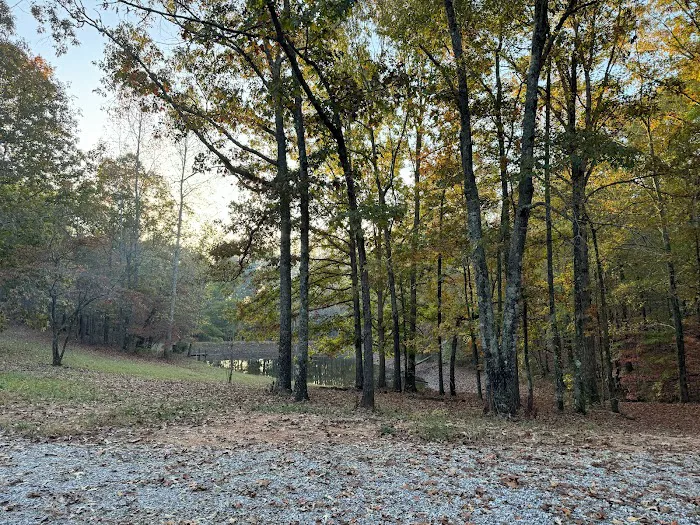 Hidden Branch Campground Picture 9