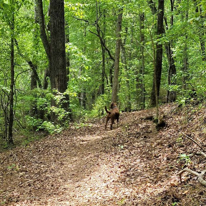 Blanton Creek Campground Picture 8