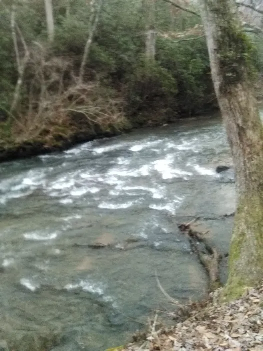 Camp Hidden Creek - Ashland, AL Picture 2