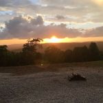 Franks Point Of View LLC