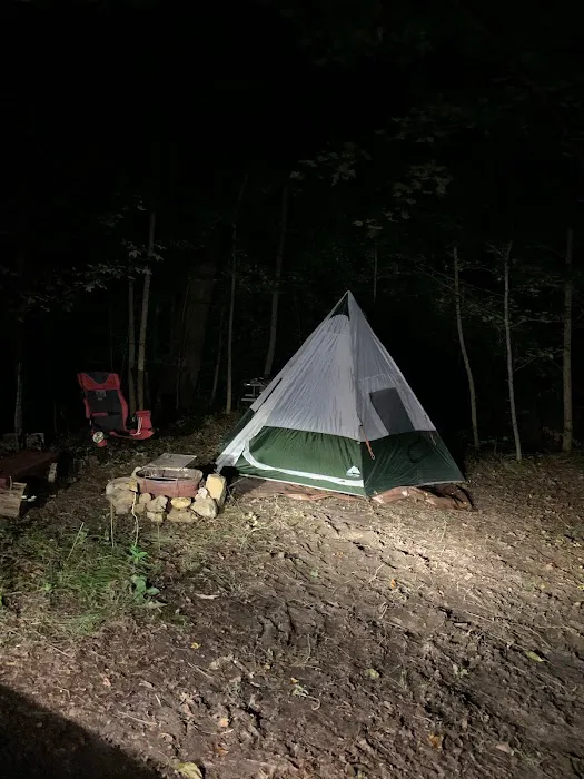 Woodybrooke Farm Campground Picture 5