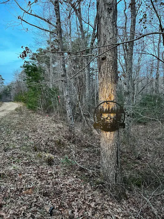 Cynefin at Folklore Forest Picture 9