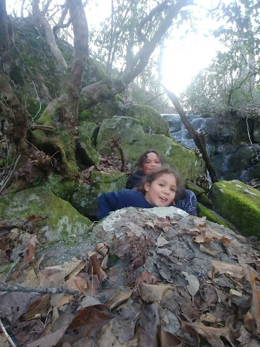 Sub Umbra Floreo Picture 4