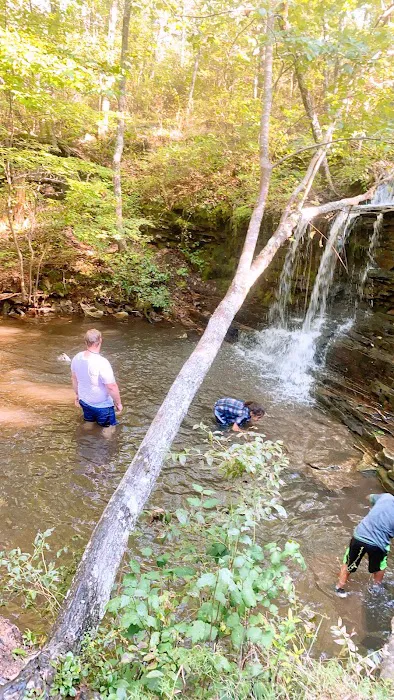 Sub Umbra Floreo Picture 3