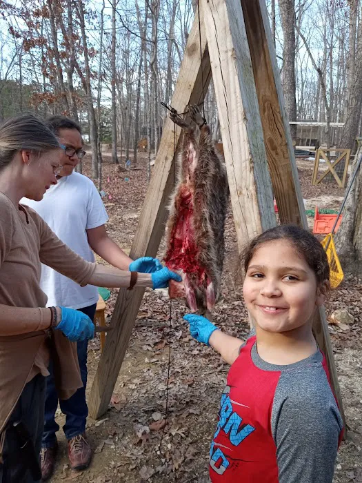 Sub Umbra Floreo Picture 7