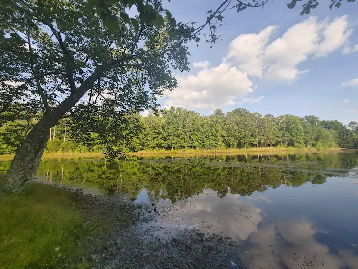 DeSoto State Park Cabin 3 Picture 1