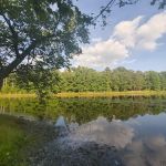DeSoto State Park Cabin 3