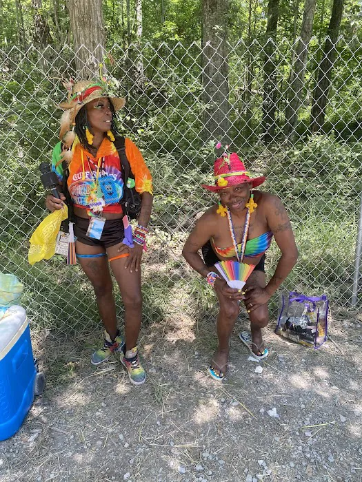 Bonaroo Camp Picture 4