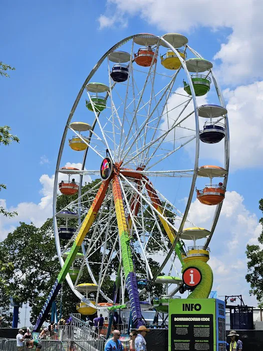 Bonaroo Camp Picture 5
