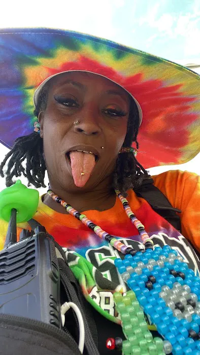 Bonaroo Camp Picture 7