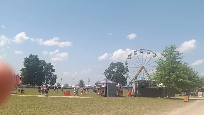 Bonnaroo VIP Camping Picture 2