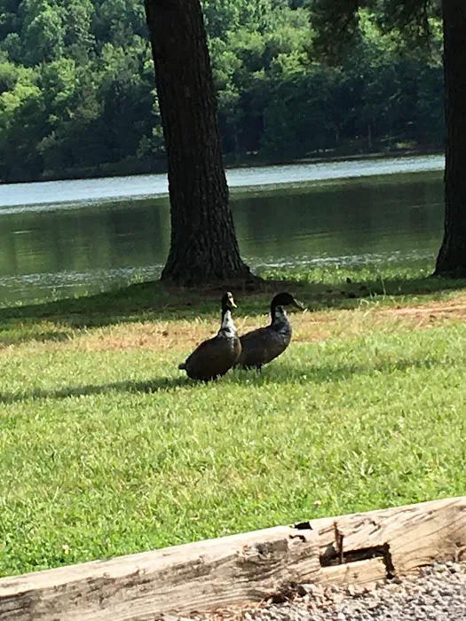 Barton Springs Campgrounds Picture 6