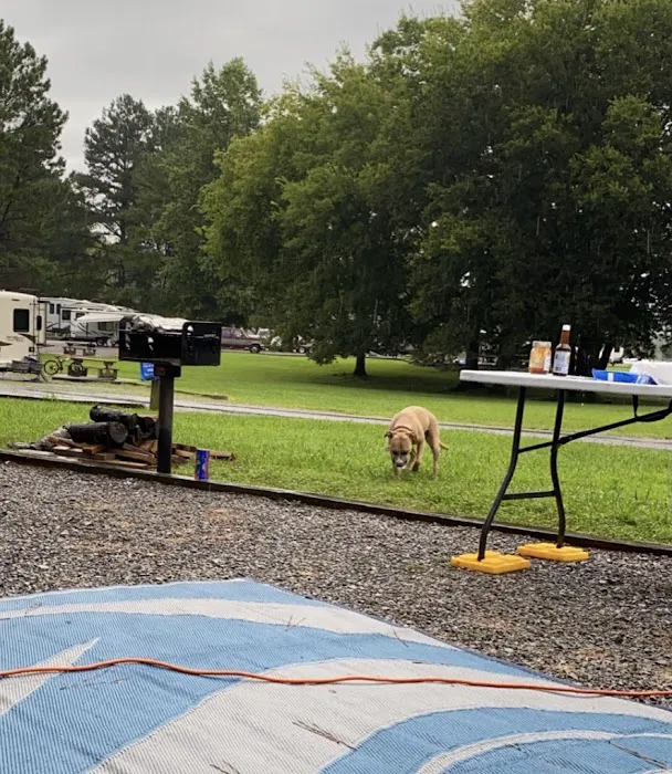 Barton Springs Campgrounds Picture 8